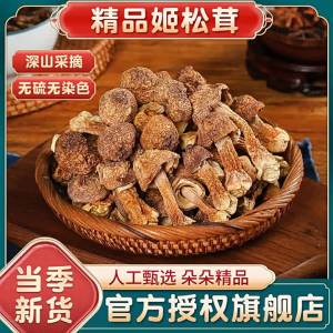 Fresh Wild High-Quality Dried Mushroom