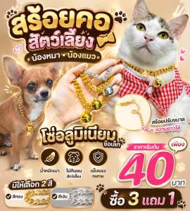 ปลอกคอแมว ปลอกคอสุนัข (ซื้อ3แถม1คละแบบ) โซ่เลสทอง-เงิน สแตนเลสหน้าตัด ฟรีโซ่ปรับ5cmฟรีกระดิ่งทุกเส้น ปรับขนาดความได้ตามรอบคอสัตว์เลี้ยง