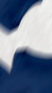 BF53 Kaos T Shirt Cotton katun 24s Premium Pria Wanita