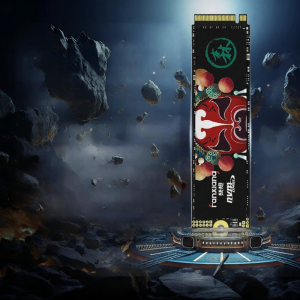 fanxiang | M2 PCIe 4.0 SSD For PC Laptop PS5
