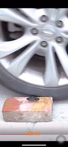 MYDIYHOMEDEPOT - ANTON BLACK BODY HIGH CARBON STEEL SPANNER / RATCHET TORQUE SPANNER COMBINATION WRENCH / SEPANA SOKET