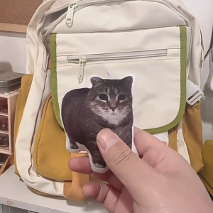 [Versi Audio] christmas gift Gantungan tas sekolah/Keychain Lucu Cat Meme /Gantungan Kunci Cat Funny /Cat Meme Plush Toy Keychain Creative Gifts