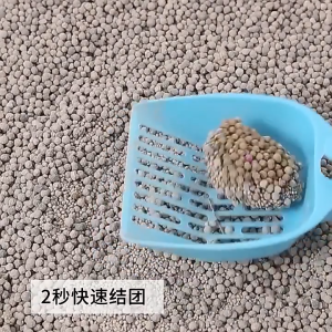 Cát vệ sinh Bentonite cho mèo có sẵn bán buôn miễn phí vận chuyển cho mèo 10 Cát vệ sinh cho mèo khử mùi vón cục ít bụi