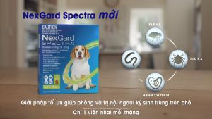[ NexGard SPECTRA ] Viên nhai cho chó 7.5-15kg 1 viên Petemo Pet Shop
