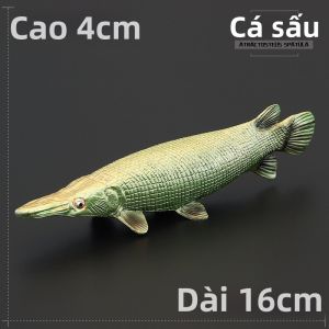 MENGSILE | Mô Hình Đồ Chơi Cá Cảnh Giáo Dục