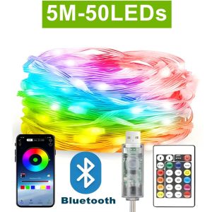 5M~20M 5V USB WS2812B Bluetooth LED String Fairy Lights Dreamcolor RGB IC DIY Party Festival Tree Lights Wedding Decoration Lamp
