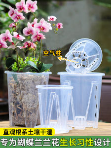 Phalaenopsis Orchid Root-Controlling Pot Plastic Root Pot Alocasia Wedding Candle Philodendron Hollow out See through Flower Pot 2024 New Arrival