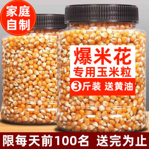 Heat up a Little Bit Popcorn Kernels 500g Bulk Packaging Family Home Cinema DIY Ball Shaped Exploding Corn Snack