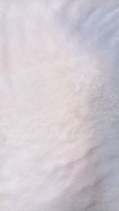 [ISI 3] Singlet AGREE Kids SF 041 Warna / Kaos Dalam Anak