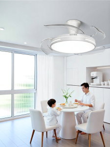 OSIZA | New Model Integrated Fan and Light Room Lighting