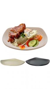 Đĩa vuông Thái nhựa VIỆT NHẬT - Nhám sâu lòng - Đựng thức ăn bánh kẹo hàng quán buffet - 1270/74