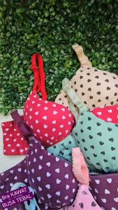 Bra Bh // Push Up Bra // Bra wanita // kawat // busa tebel // Kait 3 // Size 3436 38 40 // REAL PICT