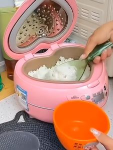 Non Stick Rice Spoon Scoop Japanese Rice Paddle Modern Stlye Anti-Stick Rice Scoop Plastic Rice Spoon With Handle