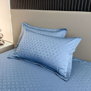 Waterproof Dustproof Pillowcases Home Use Pair Pack Saliva-proof Pillow Towels 48cmx74cm Bedding Accessories Pillow Covers