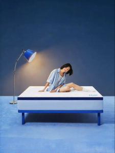 Slow Rebound Memory Foam Student Dormitory Mattress Foldable