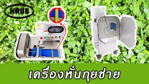 เครื่องหั่นกุยช่าย เครื่องซอยกุยช่าย เครื่องสับกุยช่าย เครื่องหั่นผักสายพาน