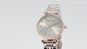 Emporio Armani Watch Womens Classic Double Needle Steel Band Quartz Simple Fashion Womens Watch Birthday Gift for Girlfriend AR1840