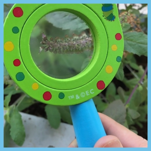 Kính lúp Khám phá thế giới - Mideer X Eric Carle Kids Magnifying Glass - MD0112