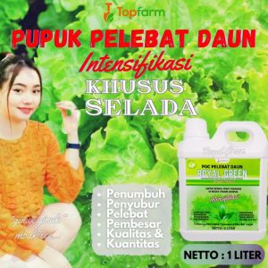 Pupuk Penyubur Daun Selada / Pupuk Daun Untuk Tanaman Selada / Pupuk Untuk Tanaman Selada / Pupuk Ab Mix Selada / Pupuk Tanaman Selada / Pupuk Sayuran Selada