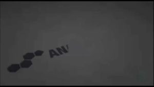 KAPSUL TONGKAT ALI PENAMBAH GAIRAH DAN STAMINA PRIA ORIGINAL DIAMOND INTEREST HERBAL ASLI MALAYSIA