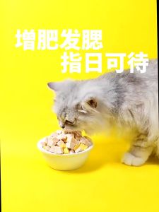 PETSEE Booster Gemuk Kucing Freeze Dried Cat Food Freeze Dried Chicken for Cat Booster Gemok Dry Chicken for Cat 鸡肉冻干