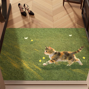 Dust-removing Durable Indoor Doormat
