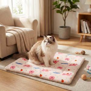 Teekland Cute Cartoon Thickened Pet Sleeping Mat Warm Soft Bed for Cats & Dogs Multi Purpose Cushion for Cage & Home