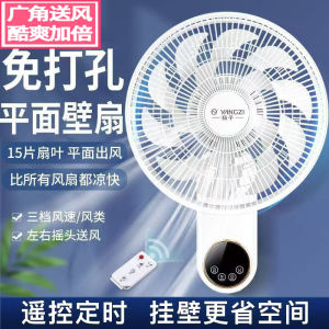 Multi-function Wall-mounted and Ceiling Fan