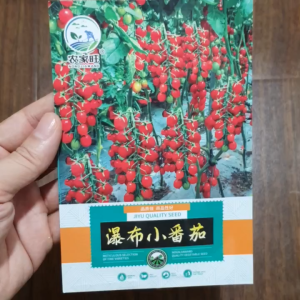 Hạt giống cà chua chuỗi ngọc Đỏ hạt giống cà chua nhập khẩu