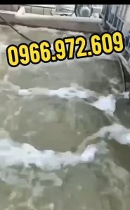 Máy sục oxy hồ cá 1100w trung quốc sục áp suất cao chạy điện 220v - bảo hành 12 tháng