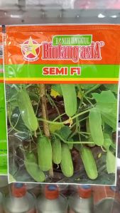 Benih Timun Semi 20gram