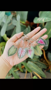 Móc khoá charm mica hình kiểng lá đủ mẫu Monstera Caladium Anthurium Philodendron