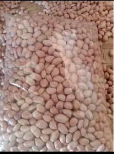 GROSIR MURAH 1 KG KACANG VERIESTA GAJAH SUPER