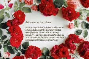 สร้อยบุษรา/น้ำมันหอมกลิ่นกุหลาบมอญแห่งเมืองหงสา (10 ml)
