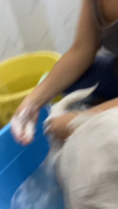 135g Vet Core Vetcore Plus Active Soap All Stages Adult Puppy Kitten Cat Dog Pet Grooming Supplements Essentials Deltamethrin Cats Dogs