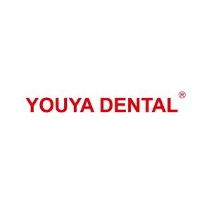 Dental Practice Model Teeth Model For Dental Technician Students Training Studying Dentistry Typodont Model With Removable Tooth