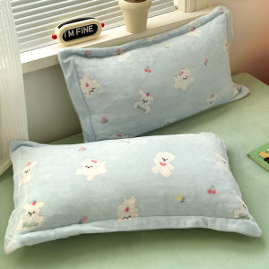 Áo Chăn Gối Dày Bằng Vải Nhung Bò Dày Cặp Dùng Trong Gia Đình Mùa Thu Đông Vải Nhung San Hô Lót Lông Cừu Hoạt Hình