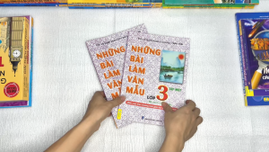 Sách - Những Bài Làm Văn Mẫu Lớp 3 - Cánh Diều (Biên Soạn Theo CT GDPT mới) - ndbooks