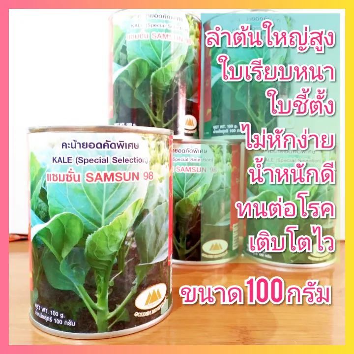 เมล็ดพันธุ์คะน้า ยอดแซมซั่น ตราภูเขาทอง 100 กรัม สำหรับสวนครัว