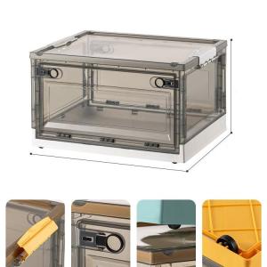 LIWAN | Transparent Foldable Storage Box