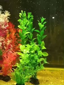 Cây Cỏ Nhựa Thủy Sinh Cây Nhựa Trang Trí Bể Cá Cảnh Cây Rong Rêu Trang Trí Hồ Cá Nhí Rẻ Đẹp