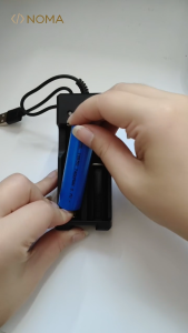 【SG】18650 Rechargeable Lithium Li-ion Battery & Charger | For Microphones Fan Flashlight Door Bell
