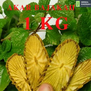 Akar bajakah kuning kalimantan asli herbal yang mendapatkan nominasi juara 1 di korea Selatan