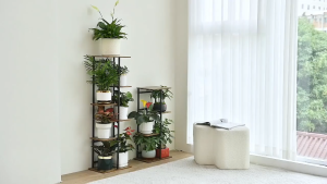 Dazioter 4/5/6-tier iron plant stand indoor metal flower stand rack organizer balcony plant rack for living room plant holder stand CZH