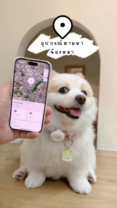 PET X : PetX Smart Tracker เครื่องติดตามสัตว์เลี้ยงอัจฉริยะ | Lazada.co.th
