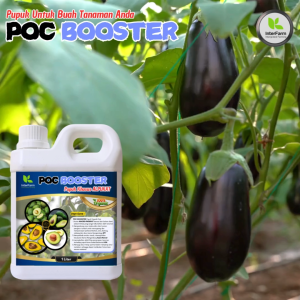 Pupuk Cair Booster Organik InterFarm untuk Alpukat - Nutrisi Optimal Tanaman Hidroponik