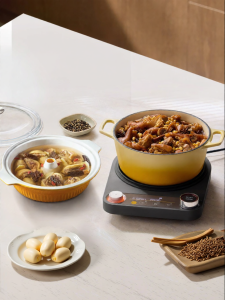 Donlim | Chinese Ceramic Cooking Pot with Steam Function Electric 2025 New Model