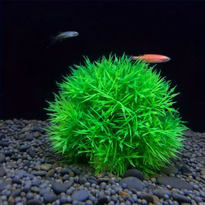 Aquarium Decorative Artificial Aquarium Grass Ball – Durable Faux Water Plant for Fish Tank Decor Fade-Resistant