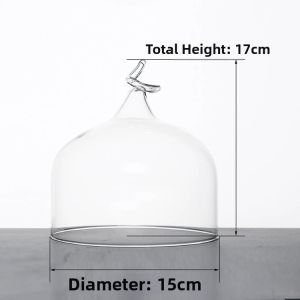 Creative Molecular Gastronomy Smoking Glass Dome