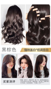 Kailando Natural Plant-Based Hair Dye Womens Mens Pure Plant Colorful Hair Dye Foam One Comb Black Salon Quality Hair Coloring Cream